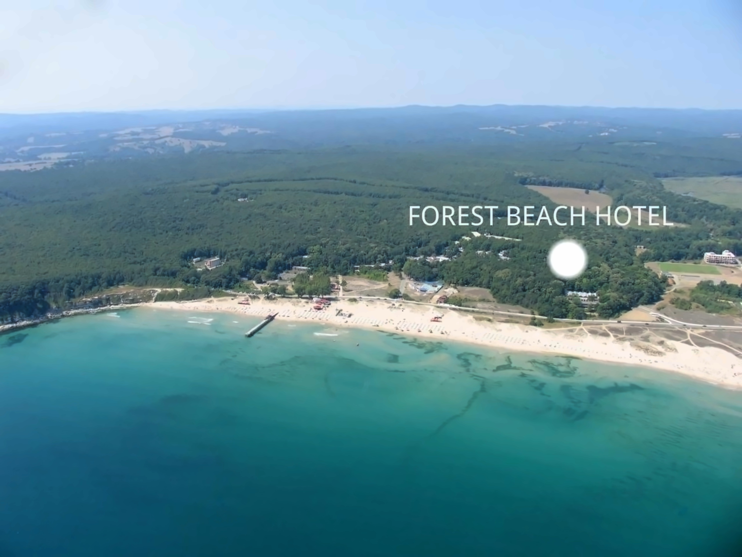 Forest Beach photo 32