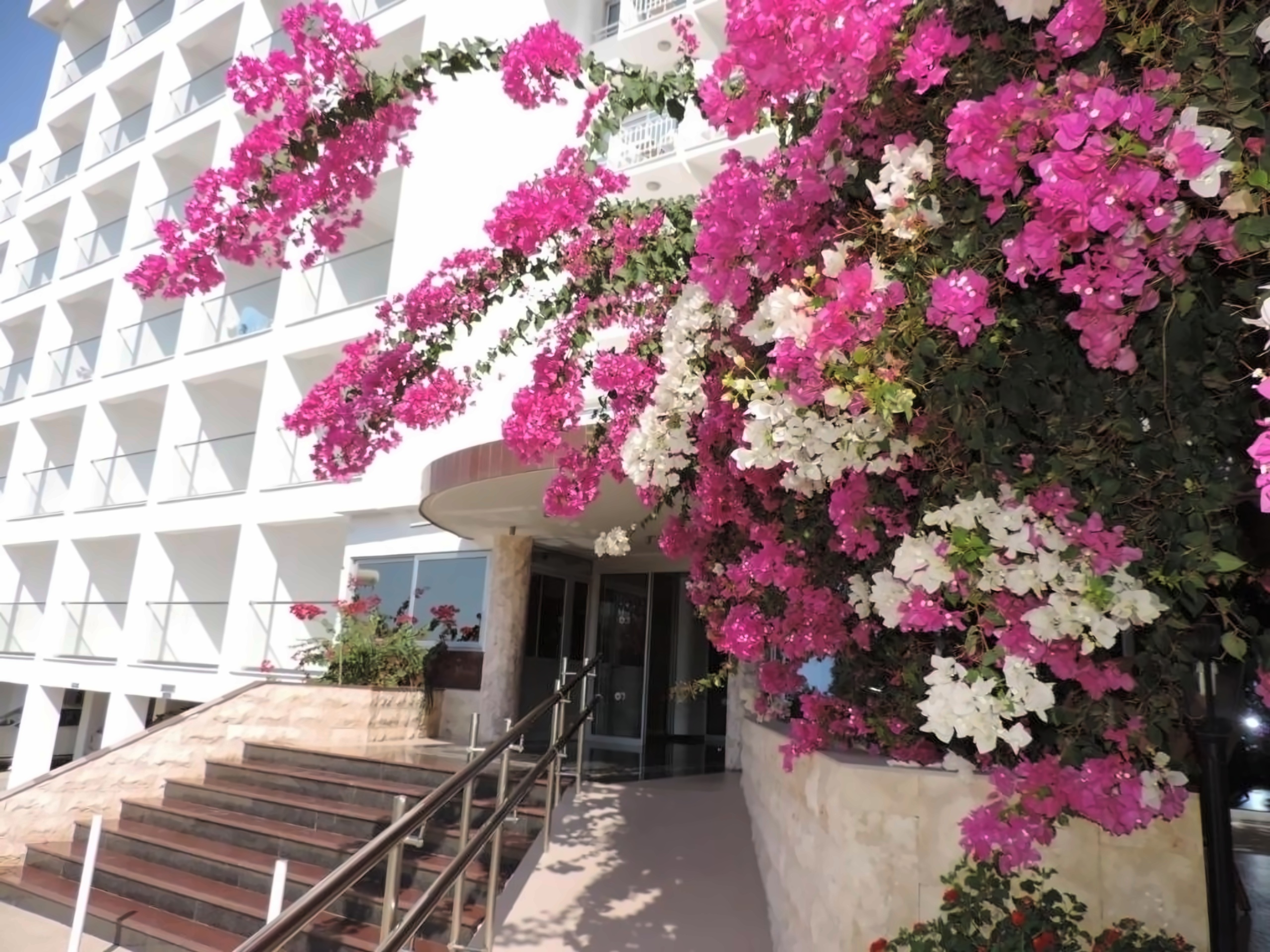 Corfu Hotel photo 2