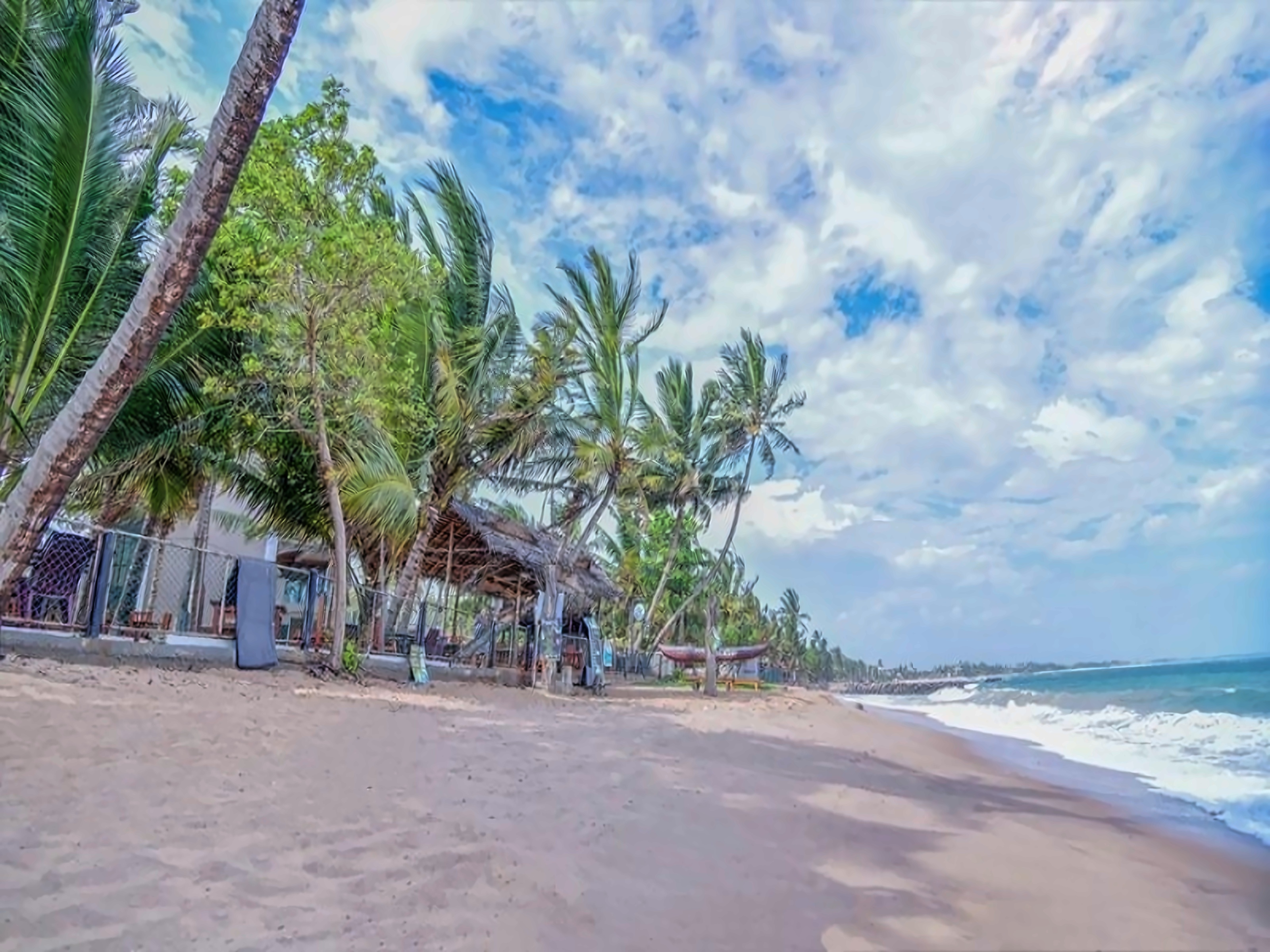 Ceylon Sea Hotel photo 5