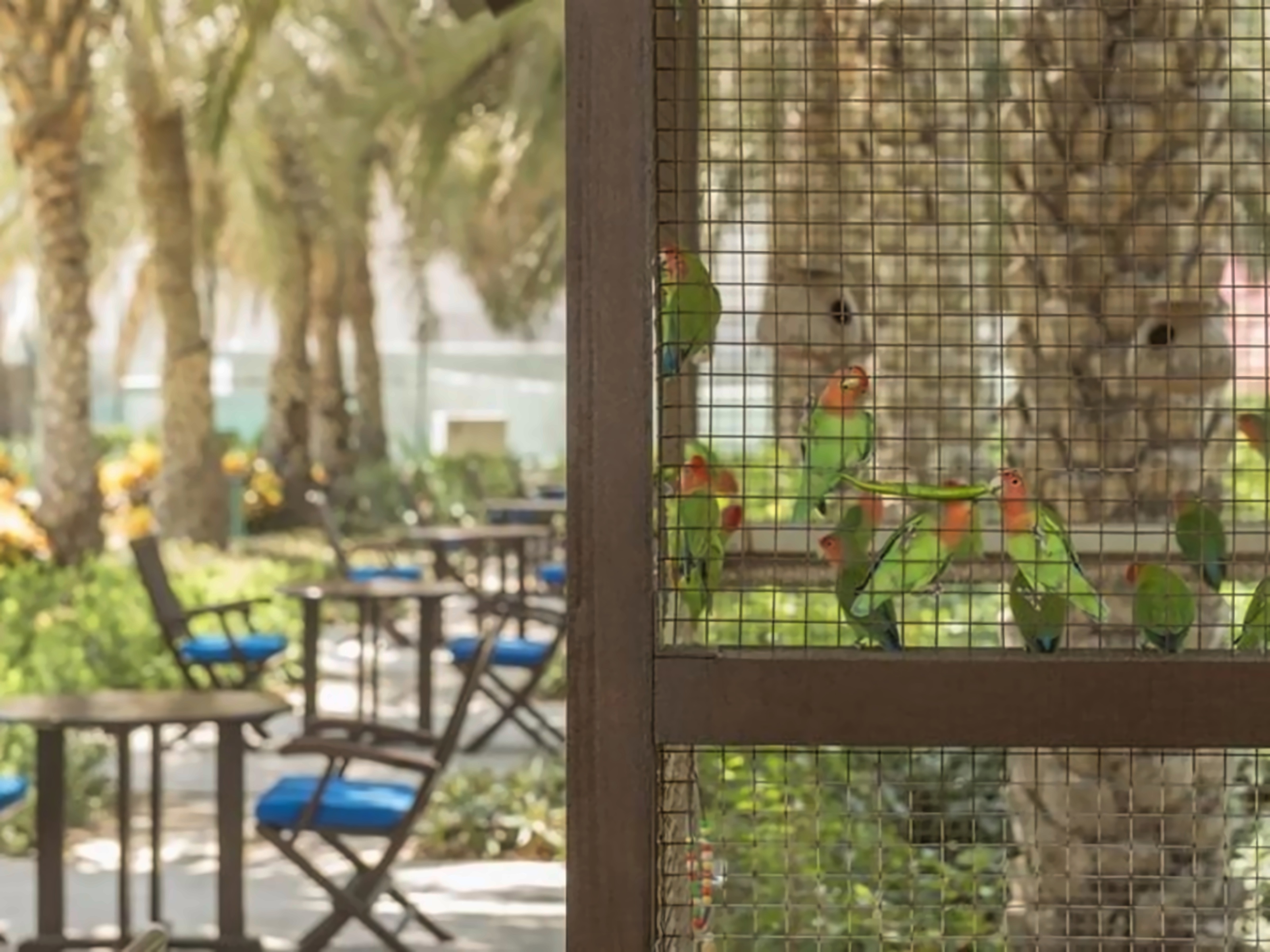 Coral Beach Resort Sharjah photo 22