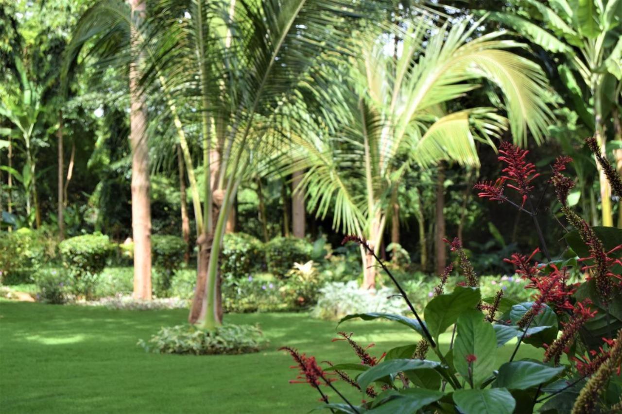 Chanya Lodge pilt 9