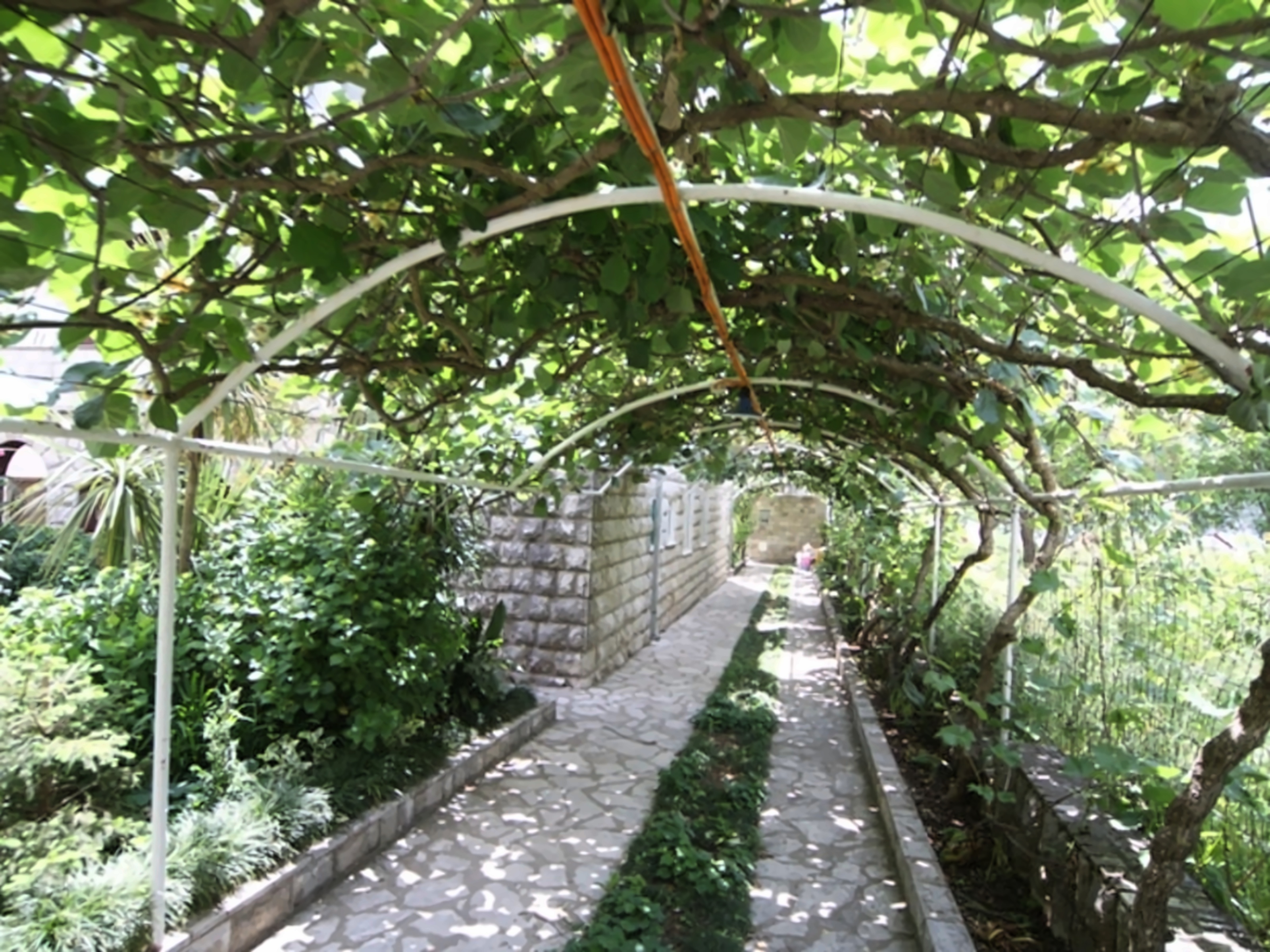 Villa Roza Kumbor photo 3