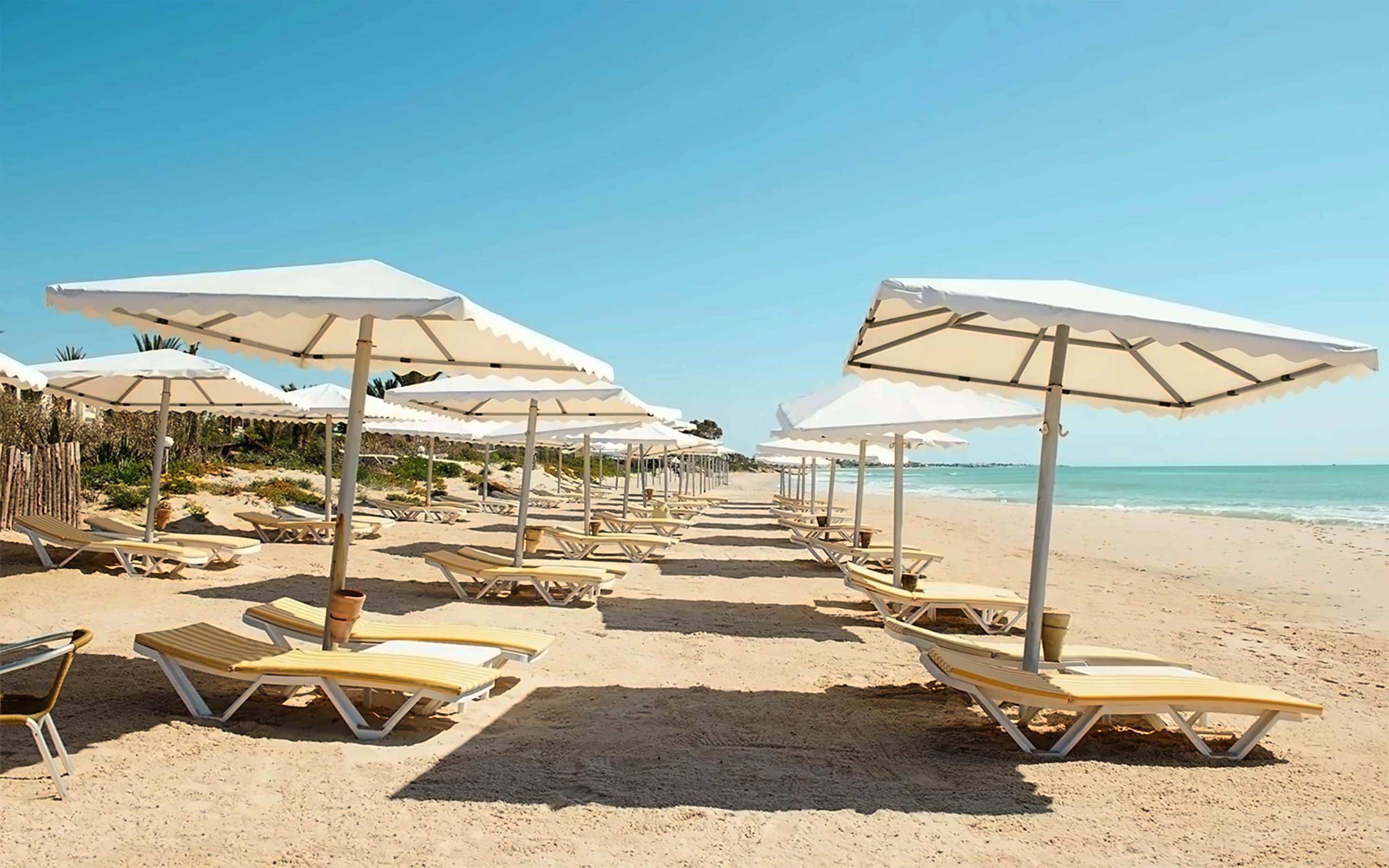 Calimera Delfino Beach Resort & Spa pilt 44