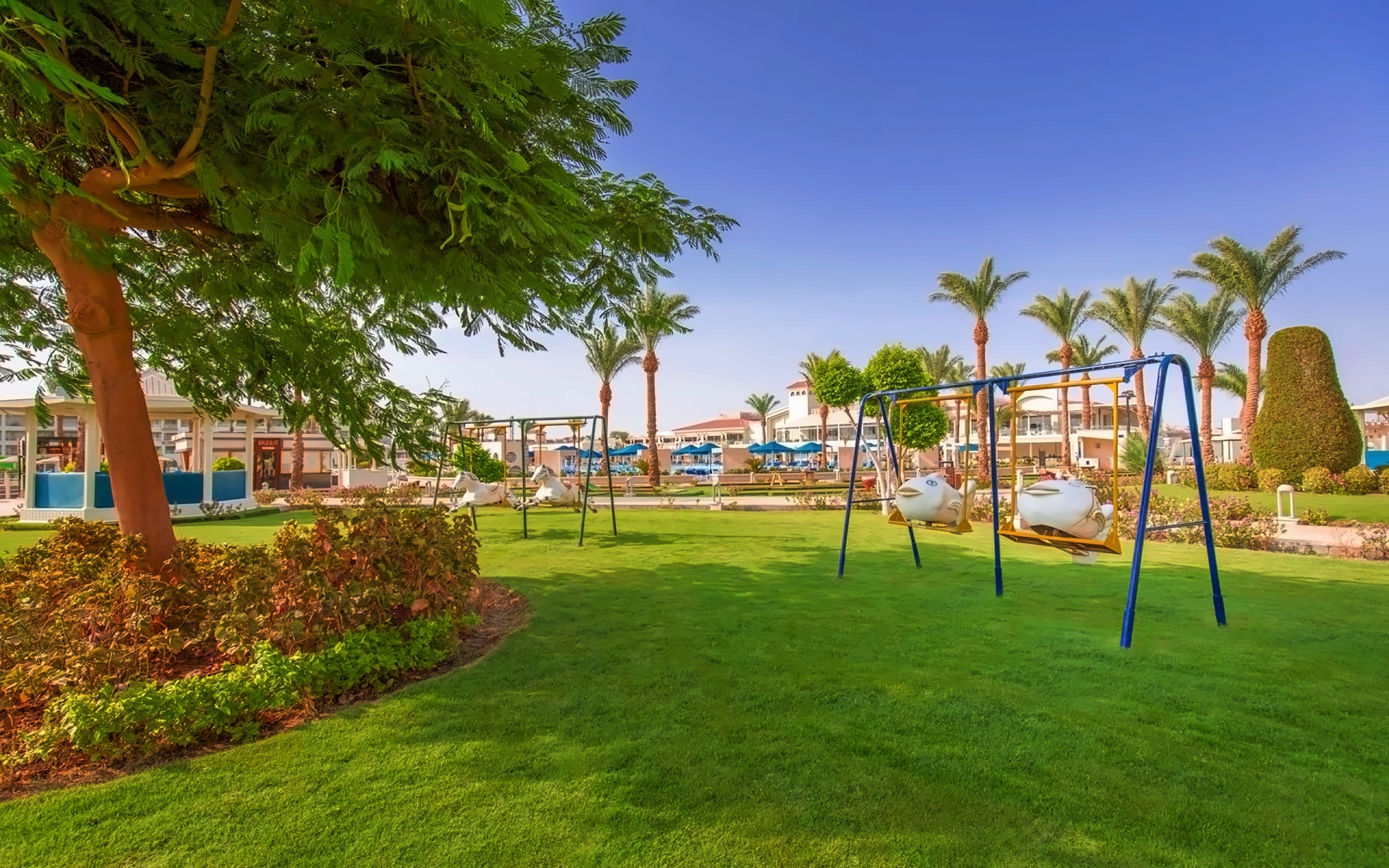 Pickalbatros Dana Beach Resort pilt 6