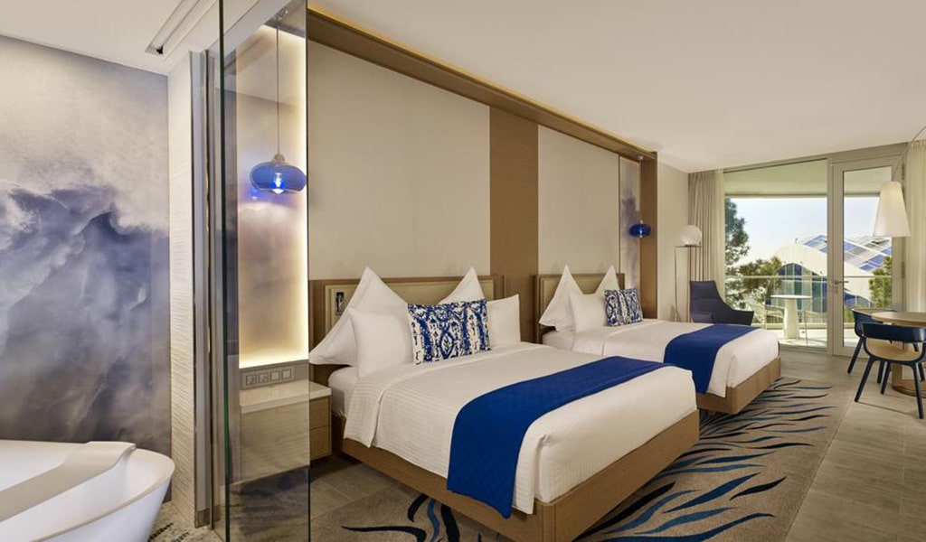 Deluxe Double/Double Room