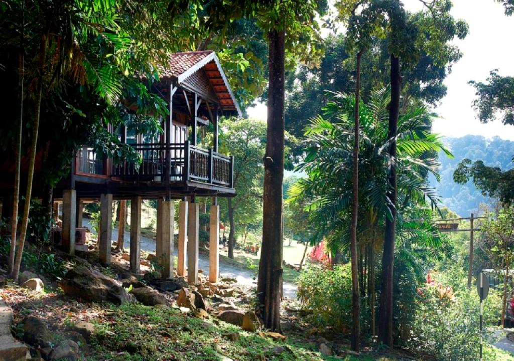 Rainforest chalet